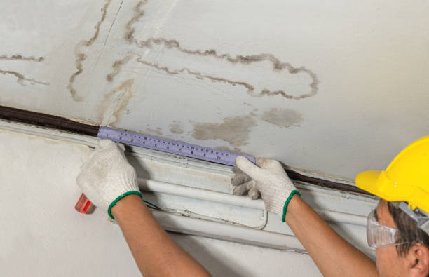 Reliable Structural Drying contractor in Rocky Mount, NC by Water Damage Irwin